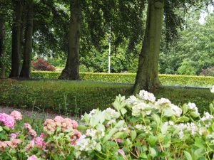 23. Over de rand van het gras kun je nog nét de bovenkant van de platliggende grafstenen zien