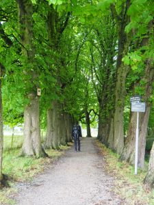 24. De Dekemastate is omringd door lanen