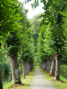 25. De lanen lopen rondom het landgoed. Wát een onderhoud!