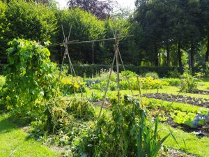 12. We lopen over het landgoed en komen in de tuinderij / Tùnsmanswente terecht, dat een leerbedrijf is met een thee/koffie-schenkerij er bij