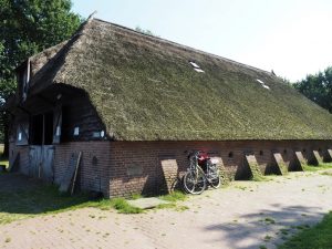 9. De schaapskooi te Ruinen. De schaapsherder vertelt, dat alleen een paar achterblijvers nog hier staan. De rest loopt op het veld. Of liever... zij liggen onder een grote boom in de schaduw. Zó gek zijn die beesten niet! Die hebben niet zo'n mooi blauw petje