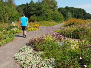 18. Buiten duiken we de vlindertuin in. Mooi aangelegd. Dat vinden de vlinders ook!