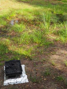 1. Na ons bezoek aan het Dwingelderveld gaat het van zaterdag op zondag ongeloooooooflijk Drents onweren. De VW-bus staat te schuddebuiken op de grond. Het dondert en flitst de hele nacht door. En zoals de afgelopen weekenden: van zaterdag op zondag plensbuien! Zie hier de verzopen BBQ