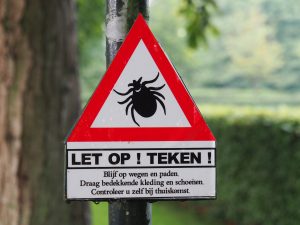 6. Je mag over het landgoed fietsen en lopen, maar.... zó uitnodigend zijn de Van Karbeekjes nu ook weer niet. Ik noem dit maar De List Van Tom Poes!