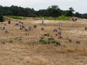 4. Wat minder kunstig tegenover de glimmende groene stenen