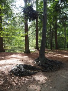 14. Je zou er zó langs fietsen, maar deze boom is Kunst met een grote K