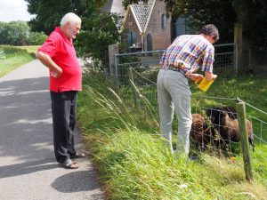 13. Cursus schapen voeren. Leo vertelt, dat ze een klein schapenras hebben lopen.
