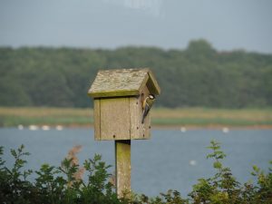 1. Is dit hetzelfde koolmeesechtpaar dat afgelopen voorjaar in een nestkastje aan ons huis nestelde?