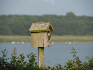 4. Nog een vluchtige blik, nadat er overlegd is met de partner die op de Berenklauw zit te wachten