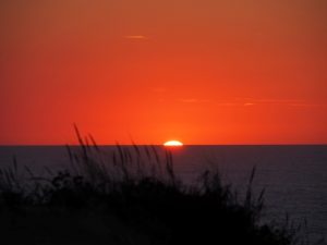 4. De ondergaande zon bij Aire de Vivier, onze kampeer plek. Tussen de hoge dennen, vlak aan zee