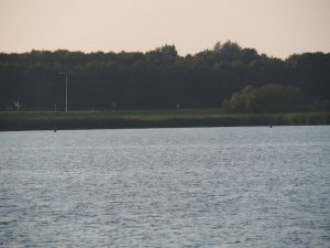 Twee vliegvissers op de Zuiderhaven