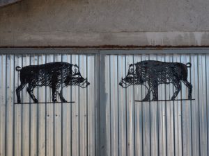 34. Deze everzwijnen, getekend op een garagedeur bij Burgui, lopen blijkbaar ook ergens rond