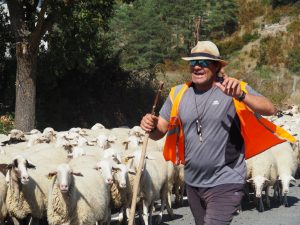 35. Een blije Spaanse schaapsherder op de NA137