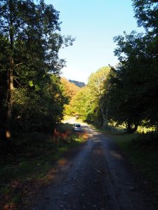 89. Weg D441 richting Leés-Athas in Frankrijk, in de buurt van Col de Bouezout. Wij vonden dit een mooie vrije kampeerplek voor onze bus, met ons er in natuuuuurkijk