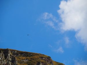 7. Een Spaanse roofvogel daagt ons uit om over de grens te stappen