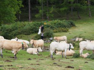 16. Op het Plateau de Bénou val ik weer in mijn Paparazzi-rol