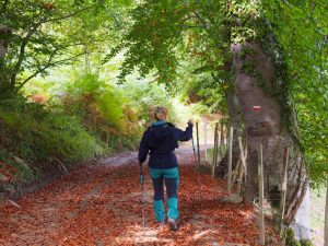 10. Op naar Lescun over een bladerdek