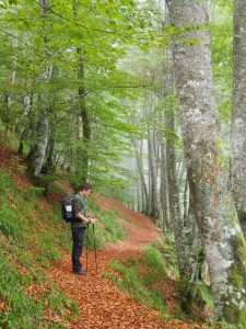 13. De wolken hangen tegen de andere kant van de bomen. Wij kunnen de GR10 goed volgen