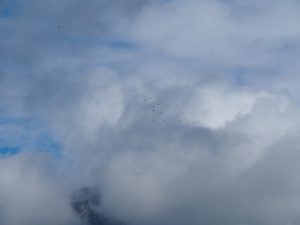 22. Groepen met Vultures boven Lescun
