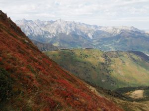 14. De kleurcontrasten zijn fantastisch in de herfst