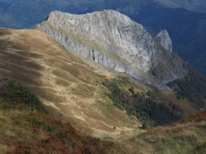 14. Kale rotsen, dor gras en lage struiken