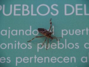 7. Een beest op het informatiebord over P.N. de Ordesa y Monte Perdido. En daar gaat dit beest dus "gewoon" op zitten! Natuurbarbaar