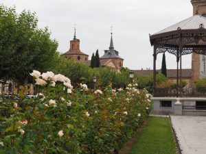 49. Plaza de Cervantes