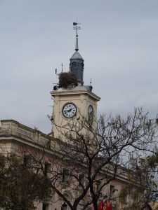 53. Net als op vele andere torens in het Spanje waar wij doorheen tuften, zijn de torens in Alcalá ook bezaaid met ooievaarsnesten. Op de 18e komt er een ooievaar op mijn lens! Wordt vervolgd...