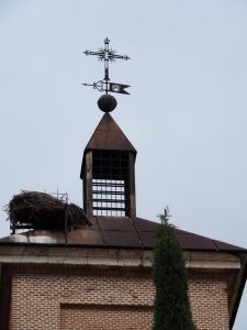 54. Soms ligt er een nest op iedere hoek. Hier eentje een beetje op het randje