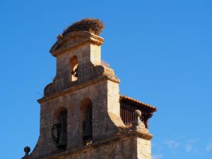 15. Nu kijken we nog op van het ooievaarsnest op de kerktoren. In Madrid en Alcalá wemelt het van deze nesten soms nog mét ooievaars