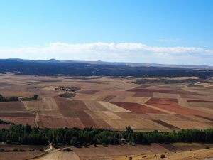 23. De akkers richting Madrid. Roussillon is bekend als het rode Franse dorp, maar in Spanje is zeker net zoveel rode grond