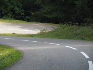 7. We zoeken het wél op... haakse bochten richting Plateau de Benou, weg D294