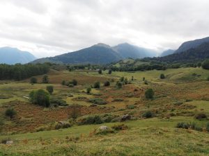 9. Plateau de Benou