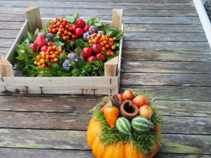 22. En dan is staat er in de achter- en voortuin nog wat aangeleverde herfst