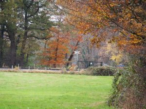 3. Aan de andere kant van de Stekkenkamp loopt een spoorbaan. Tingelingeling! Komt ie weer, kedengkedengkedeng