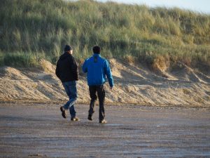 17. Harco en Wilco in galop langs de duinen