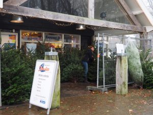 3. De ene vers geplukte kerstboom is nog mooier dan de andere. Marjolein helpt ons uitzoeken